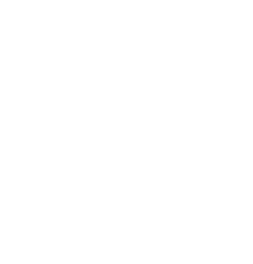 UP-Bridge the Gap white logo